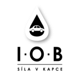 LOGO IOB